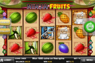 Ninja Fruits Mobile Slot - Play'n Go