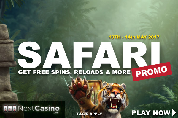 NextCasino Bonus Free Spins & More Await You