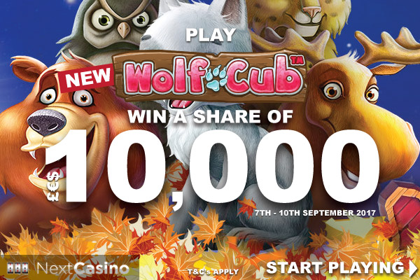 Win A Share of £€$10K Playing The New NetEnt Wolf Cub Slot