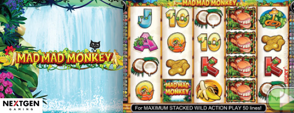 NextGen Mad mad Monkey Slot Machine