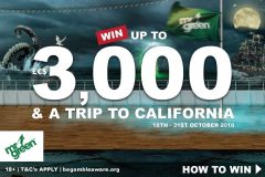 Win Real Money In The Latest Mr Green Casino Halloween Promotion