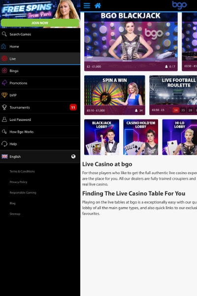 BGO Casino Menu Options