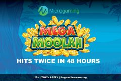 Microgaming Mega Moolah Slot Creates 2 New Winners In 48 Hours