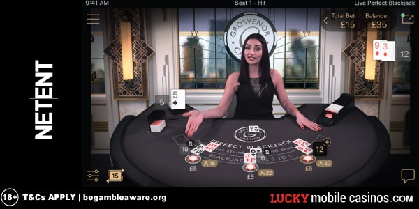 Perfect Blackjack Live Casino Example