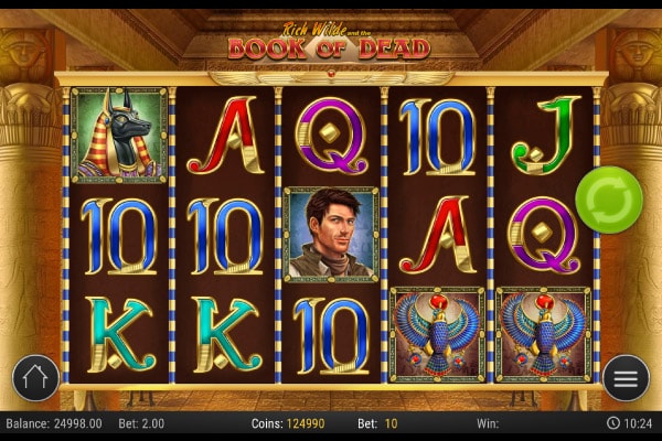 Book of Dead Slot Machine - Play'n GO