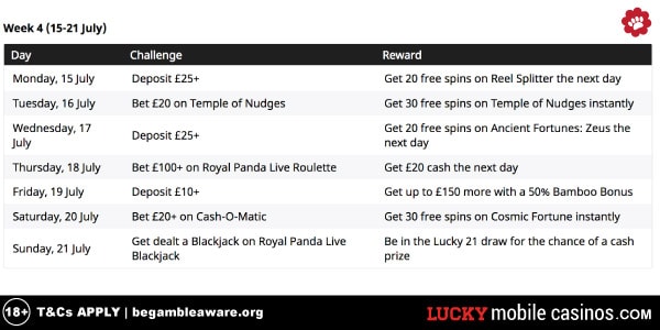 Examples of The Royal Panda Casino Promotions You Can Get