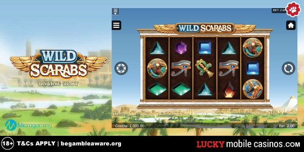 Microgaming Wild Scarabs Slot Machine