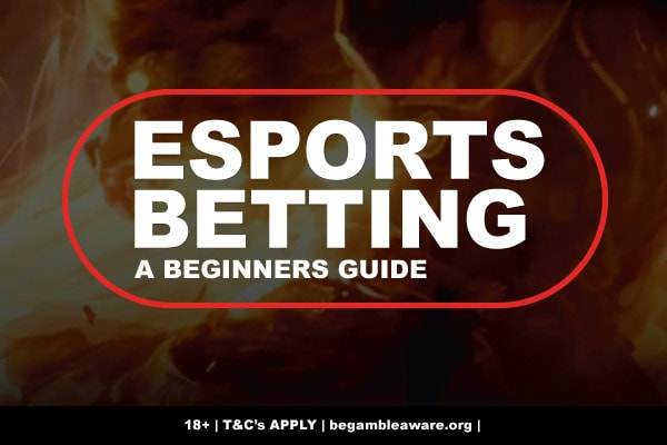 Esports Betting For Beginners