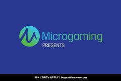 Microgaming Presents Studios & What You Can Expect