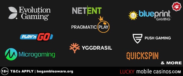 Leo Vegas Casino Software Providers