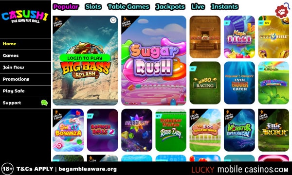 Casushi Casino Popular Games