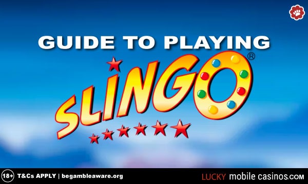 Guide To Playing Slingo Online