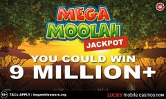 Huge 9 Million+ Mega Moolah Jackpot - You Could Win Millions!